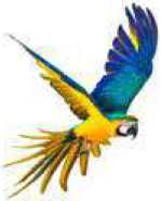 Hoabl Vrindavan Global